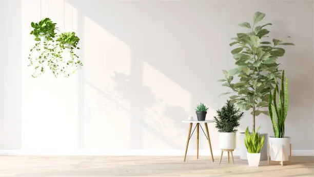 plant op plafond
